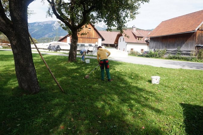 Mostbauernherbst 2015