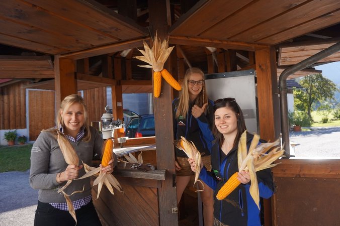 Oberwenger_Hofroas_30.09.2018