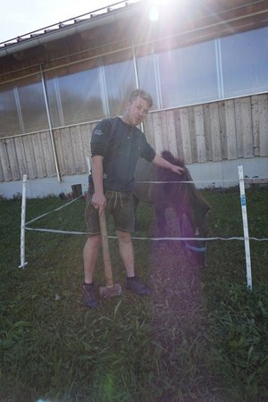 Oberwenger_Hofroas_2016