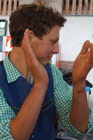 Maibaumumschneiden_1. - 2. Juli 2017