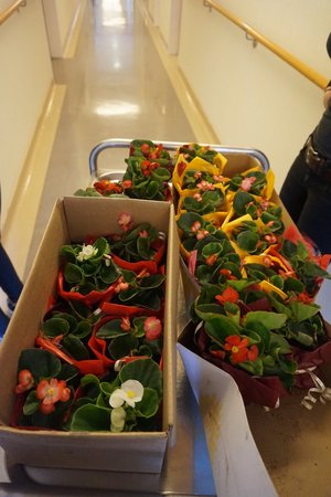 Muttertag_Aktion_Altenheim_2017