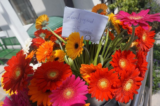 Muttertagsaktion_im_Altenheim_2016